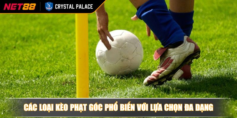 Các loại kèo phạt góc phổ biến với lựa chọn đa dạng