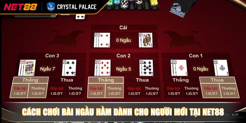 Cách chơi bài Ngầu hầm dành cho người mới tại NET88