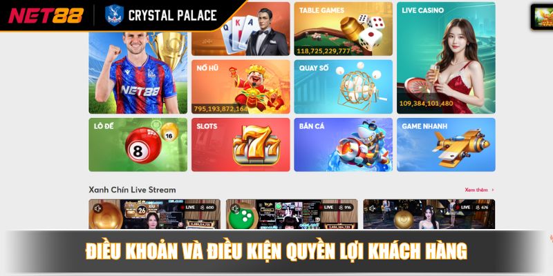 Điều khoản và điều kiện quyền lợi khách hàng